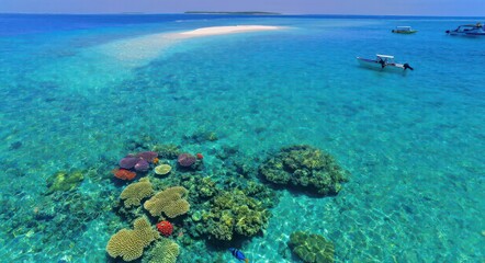 Fototapeta premium Aerial View of Stunning Coral Reefs .
