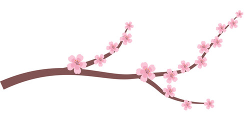 Cherry Blossom Vector © panadesignteam