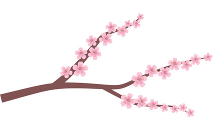 Cherry Blossom Vector © panadesignteam
