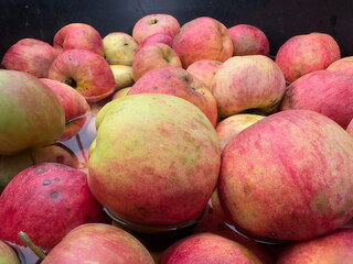 Apples