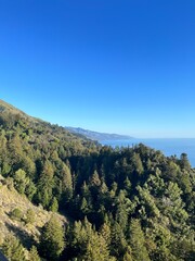 landscape with trees