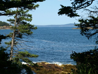 Obraz premium Framed by Nature: Ocean Scene