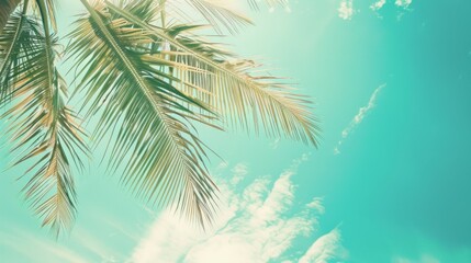 Fototapeta premium Palm fronds against a vibrant, teal sky.