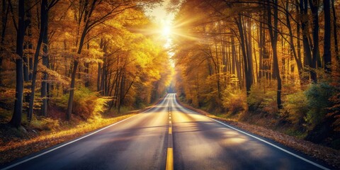 Fototapeta premium Autumnal Road Through Golden Canopy A Scenic Drive at Sunset
