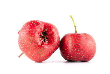 Two red hawthorn berries on a white background