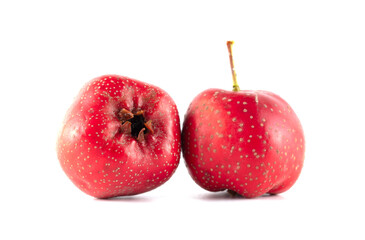 Two red hawthorn berries on a white background