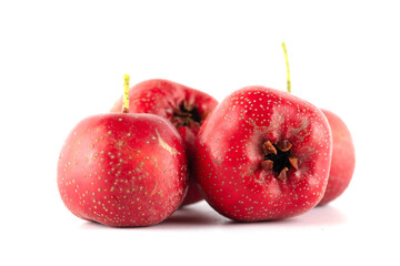 Several red hawthorns on a white background