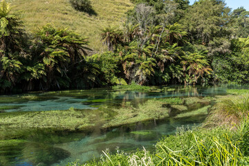 Waihou River. Blue Springs  Putararu,  which supplies around 70 per cent of New Zealand's bottled...