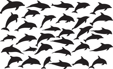 Dolphin Silhouettes Collection