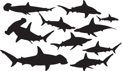 Hammerhead Shark Silhouettes Collection