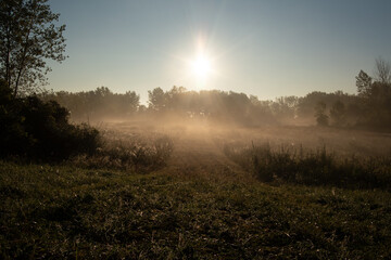 morning mist over the field