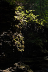 Sun falling on rocks