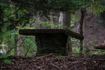 forest table