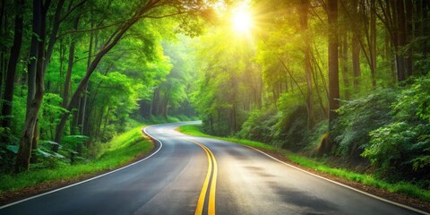 Obraz premium Scenic Winding Road Through Lush Green Forest Canopy at Sunrise