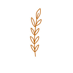 golden wheat isolated vector line art, plane illustration