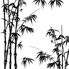 Obraz premium Bamboo Frames Design Square Icon Isolated on Transparent Background