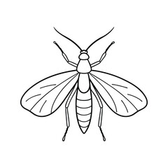 Lacewing (Chrysopidae) insect silhouette design, labeled line art vector illustration.