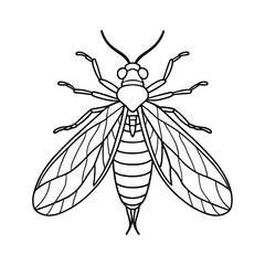 Lacewing (Chrysopidae) insect silhouette design, labeled line art vector illustration.