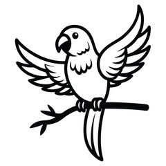 Obraz premium Parrots being icons of affection and tenderness.