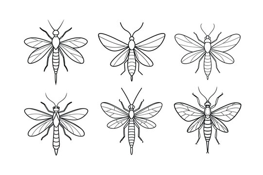 Mayfly (Ephemeroptera) insect silhouette design, labeled line art vector illustration.