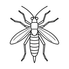 Stonefly (Plecoptera) insect silhouette design, labeled line art vector illustration.