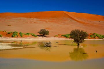 Stunning desert landscape of the Namib-Naukluft National Park, near the famous Daedvlei clay pan...