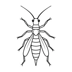 Stonefly (Plecoptera) insect silhouette design, labeled line art vector illustration.