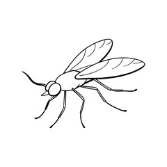 Alderfly (Sialidae) insect design, labeled line art vector illustration.