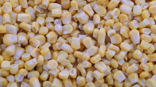 Top down view. Pile of boiled and pickled corn kernels. Slider shot. Food preservation, snack, culinary, agriculture, vegetarian diet, recipe contents. 4k