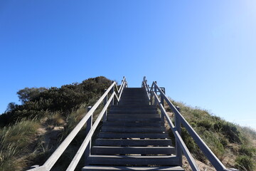 wooden staircase at The Neck Game Reserve Lookout