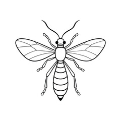 Obraz premium Scorpionfly (Mecoptera) sector design, labeled line art vector illustration.
