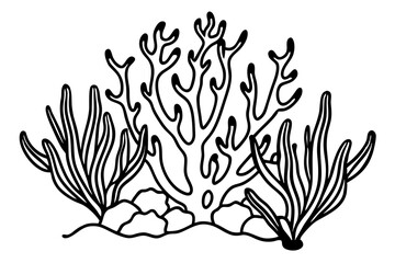 Fototapeta premium Seaweeds and corals flourishing ocean