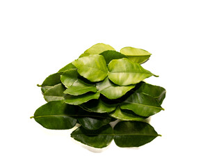 Fresh Green Kaffir Lime Leaves Arranged on a White Surface Showcasing Their Vibrant Color and Texture