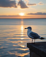 Serene Sunset by the Sea: Stunning Seagull Perched on a Dock with Golden Sunlight Reflecting Over Calm Ocean Waves, Capturing the Beauty of Nature, Peaceful Horizons, and Coastal Tranquility