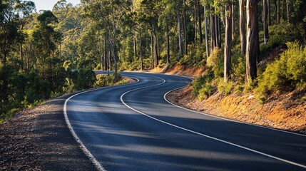 Fototapeta premium A finished scenic road winding through forested hills, showcasing construction excellence