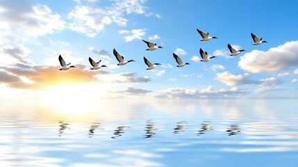 Fototapeta premium Birds Flying Over Calm Water at Sunset
