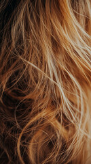 Naklejka premium Close-up of messy, tangled hair strands