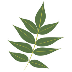 Tropical Leaf Element. Exotic Leaf Plant and Flower. Vector Cartoon Illustration