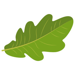 Tropical Leaf Element. Exotic Leaf Plant and Flower. Vector Cartoon Illustration