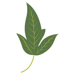 Tropical Leaf Element. Exotic Leaf Plant and Flower. Vector Cartoon Illustration