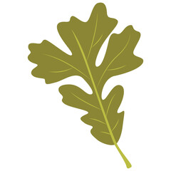 Tropical Leaf Element. Exotic Leaf Plant and Flower. Vector Cartoon Illustration