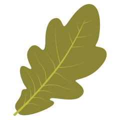 Tropical Leaf Element. Exotic Leaf Plant and Flower. Vector Cartoon Illustration