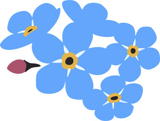 Forget me nots, Myosotis, Scorpion grasses