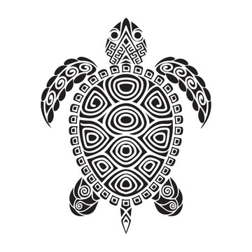 turtle and illustration
