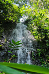 A powerful waterfall cascades down a moss-covered cliff, crashing into a rocky stream below. Lush greenery surrounds the scene, creating a breathtaking natural spectacle.