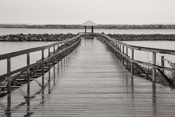 Obraz premium What's Up, Dock?