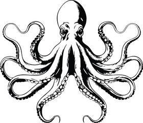 Octopus line vector illustration white background