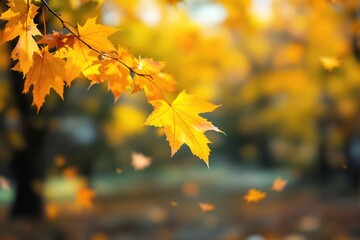 Obraz premium Close-up of vibrant orange and yellow maple leaves on a branch, set against a blurred forest background, depicting a warm autumn concept. Ai generative