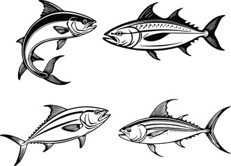 Set Of Tuna Fish line vector illustration white background