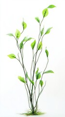 Fototapeta premium Stunning Green Plant Display: A Lush Botanical Masterpiece